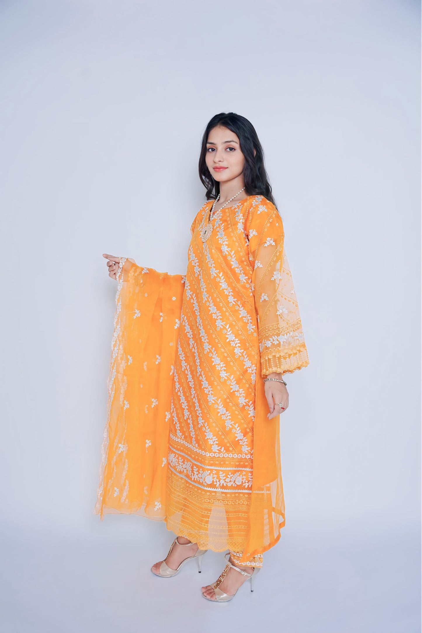Pret Embroidered Organza 3 PCS