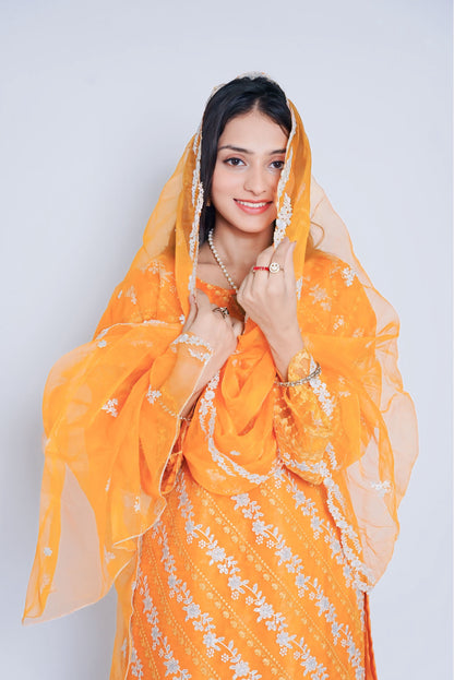 Pret Embroidered Organza 3 PCS