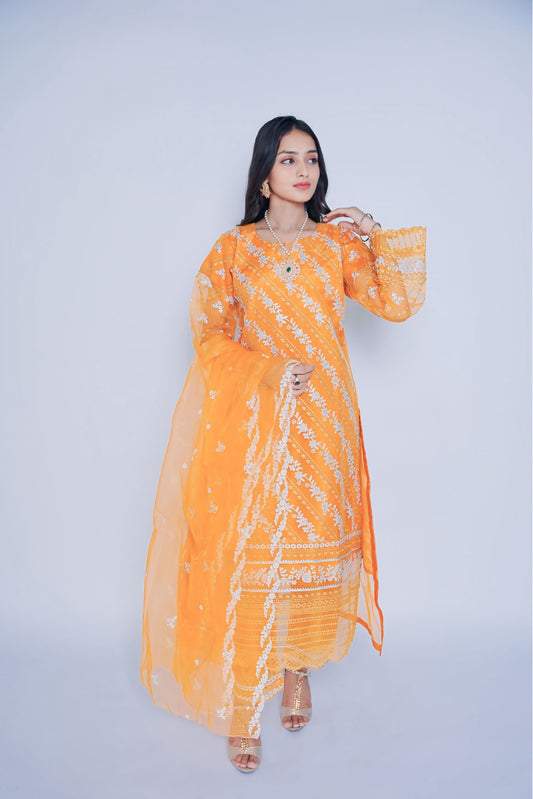 Pret Embroidered Organza 3 PCS