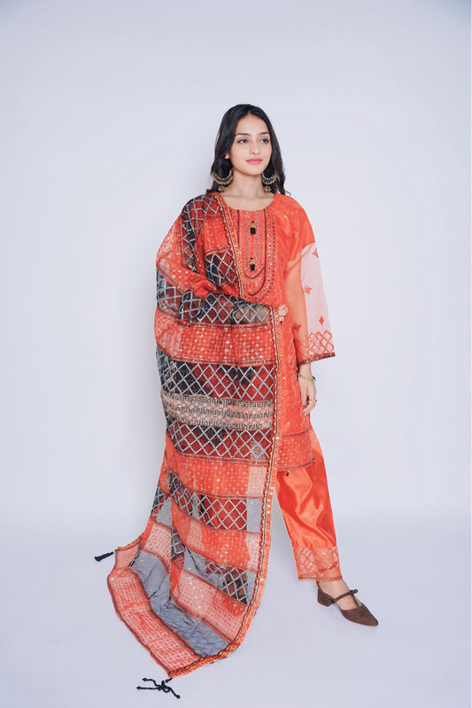 Pret Embroidered Organza 3 PCS