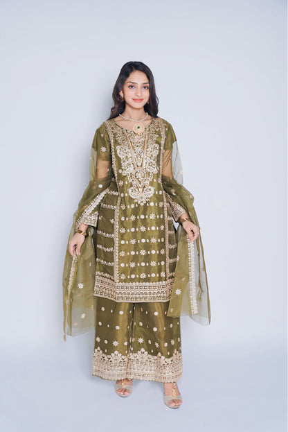 Pret Embroidered Organza 3 PCS