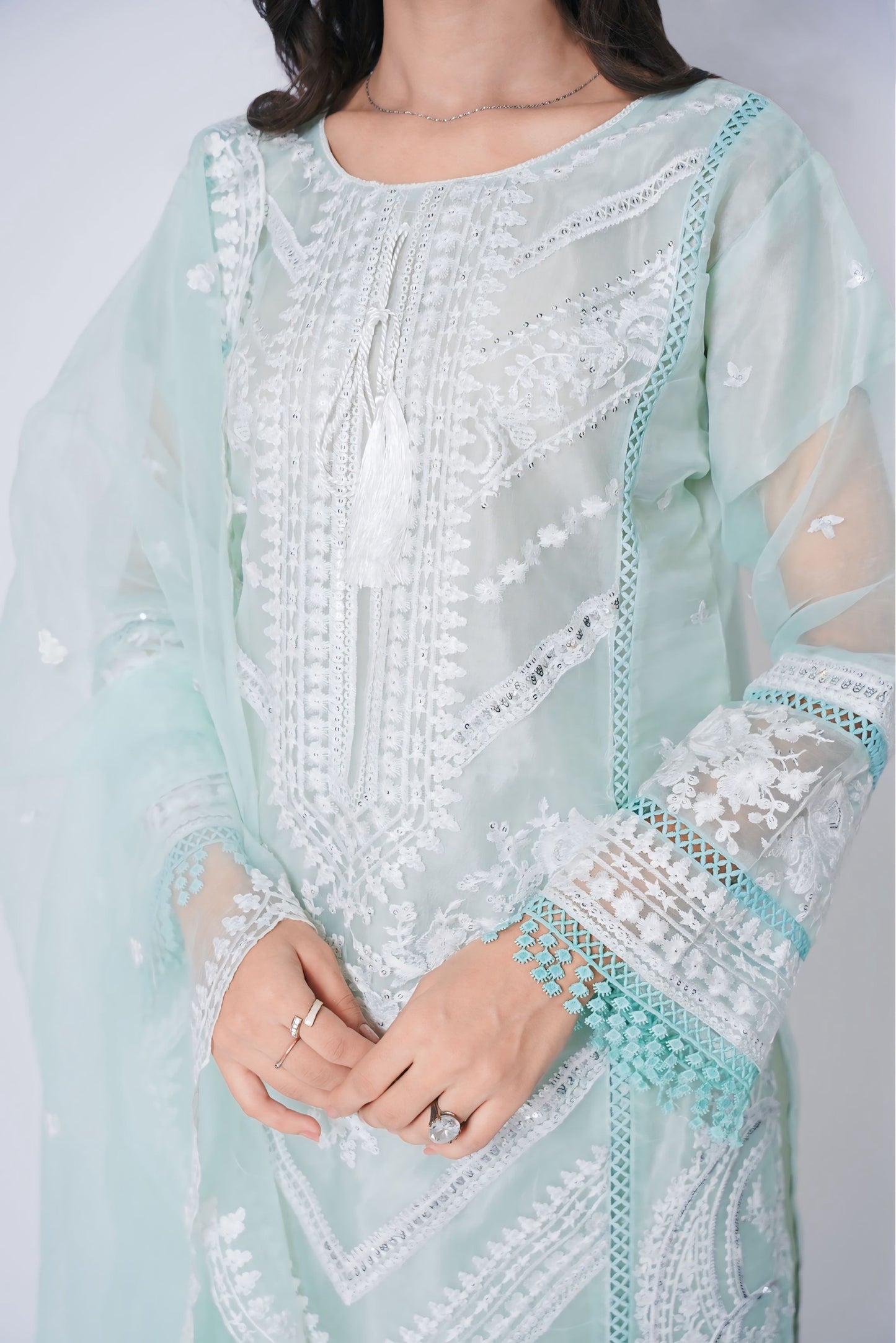 Pret Embroidered Organza 3 PCS